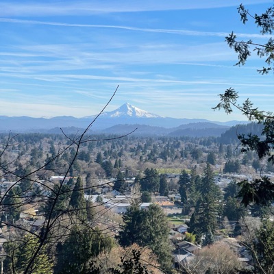 No roll of the dice - Single