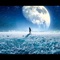 galaxis - 96padre lyrics