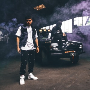 Skyfall (feat. ayrtn) - Single