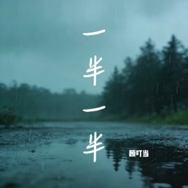 一半一半 顾叮当