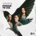 Porque Te Vas