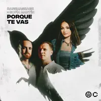 Porque Te Vas