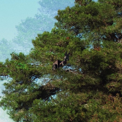 train to / cody - Single