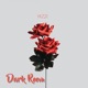 Dark Room Single