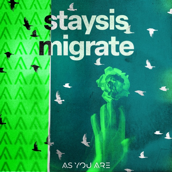 Migrate - Single