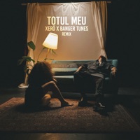 Totul Meu (Remix) - Single - Xerő & Banger Tunes