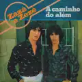 Canto, Bebo E Choro