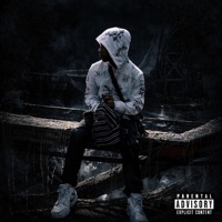 Timber - Single - JÆVEXEN