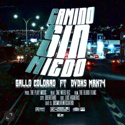 CAMINO SIN MIEDO (feat. Gallo Colorado) - Single