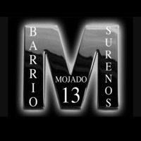 Wet Town Flow (feat. Mojado Gang) - Single - High Desert Records