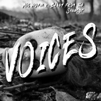 Voices (feat. Benny from the Sandlot) - Single - Mic Hoffa