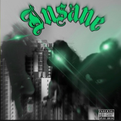 Insane (feat. Luh 5 & Luh Q) - Single