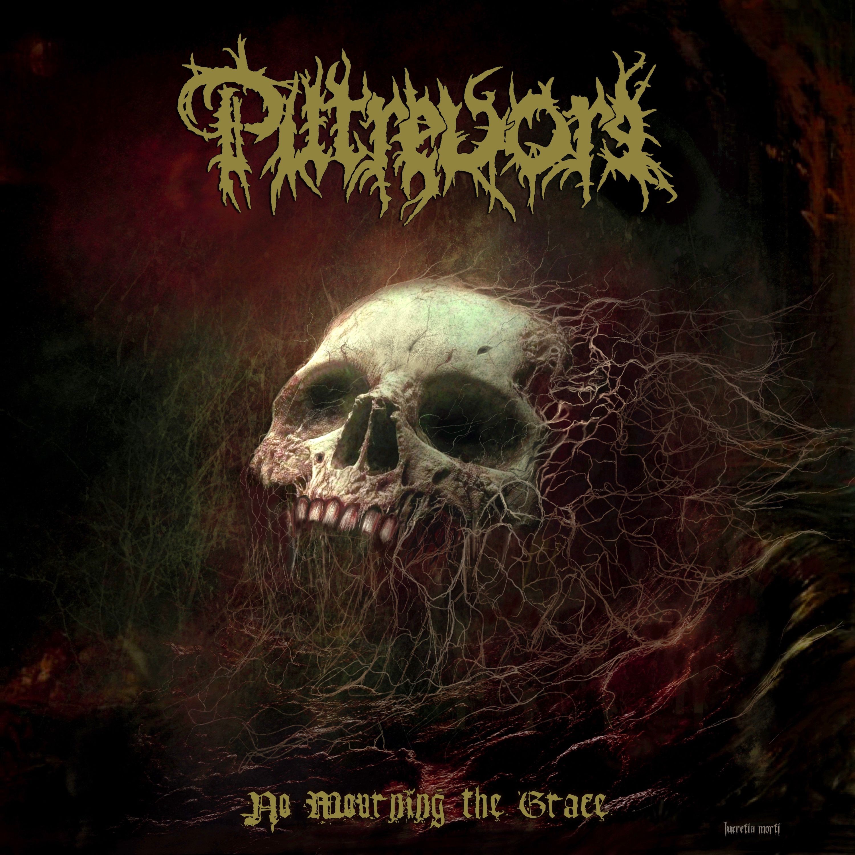 No Mourning the Grace - Single