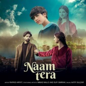 Naam Tera artwork