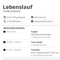 LEBENSLAUF - Single - misteruniverse