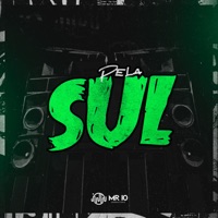 Pela Sul - Single - Mc Nego Raro & DJ Lype
