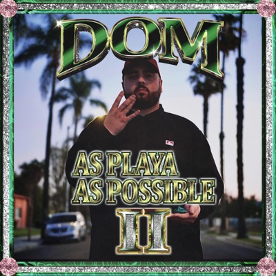 As Playa As Possible 2