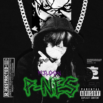 P-NES - Single