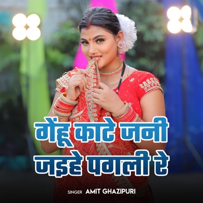 Gehu Kate Jani Jaihe Pagali Re - Single