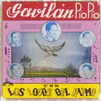 El borrachito — LOS LOCOS DEL RITMO
