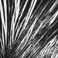 Брать - Single - День добрый