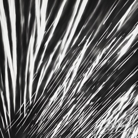 Брать День добрый