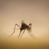 Enfermo - Single - CasiHumano