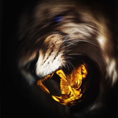 Manita Fenerli - Single