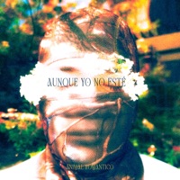 Aunque yo no esté - Single - animal romantico