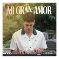 Mi Gran Amor - Single - Lauta