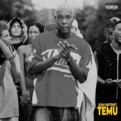 TEMU - Single