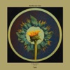 As the sun Rose cover art