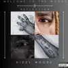 Dizzy Woodz - TAPE 13