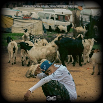 UNCLE D "no nephew left behind"