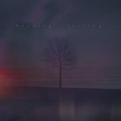 Meaning / Leaving - Single