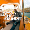 The Trumpet - Super Flying Flint