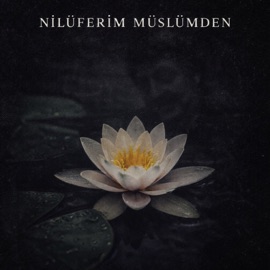 nilüferim müslümden Dianz