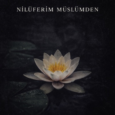 nilüferim müslümden - Single