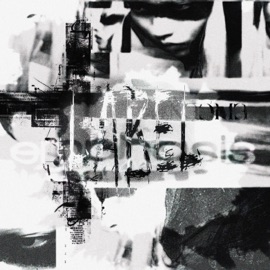 LABEL YUUKKII & ICELOWSIDE