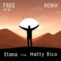 Free, Pt. 2 (Remix) [feat. Natty Rico] - Single - Etana
