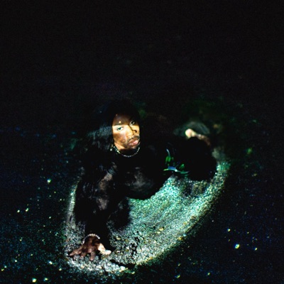 NEVER LEAVE - Single