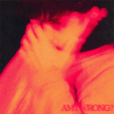 AM I WRONG? - Single