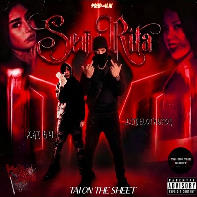 Señorita - Single