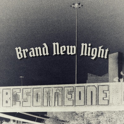 Brand New Night - Single