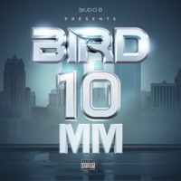 10 MM - Bird & Studio B Muzik