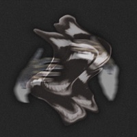 Blizzard - Single - Meedas