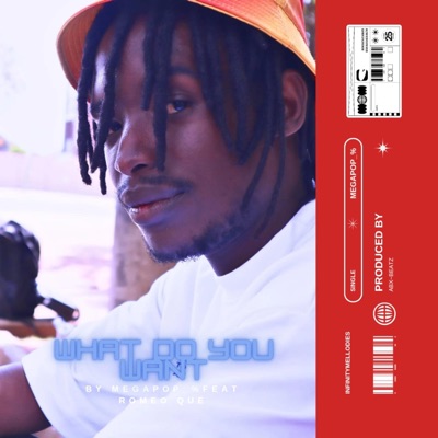 What do you want - Single