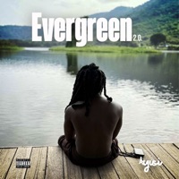 Evergreen 2.0. - Ayisi