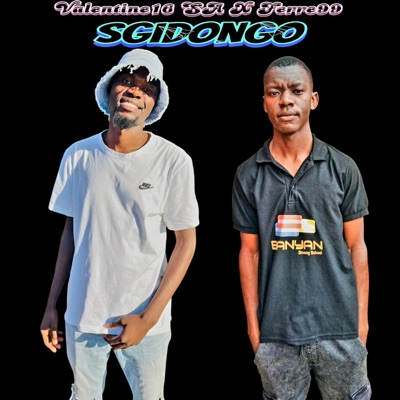 Door16 (Sgidongo x Sgija) (feat. Ferre99) - Single