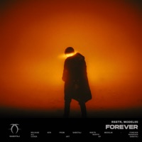 Forever - Single - rsstr & Model95